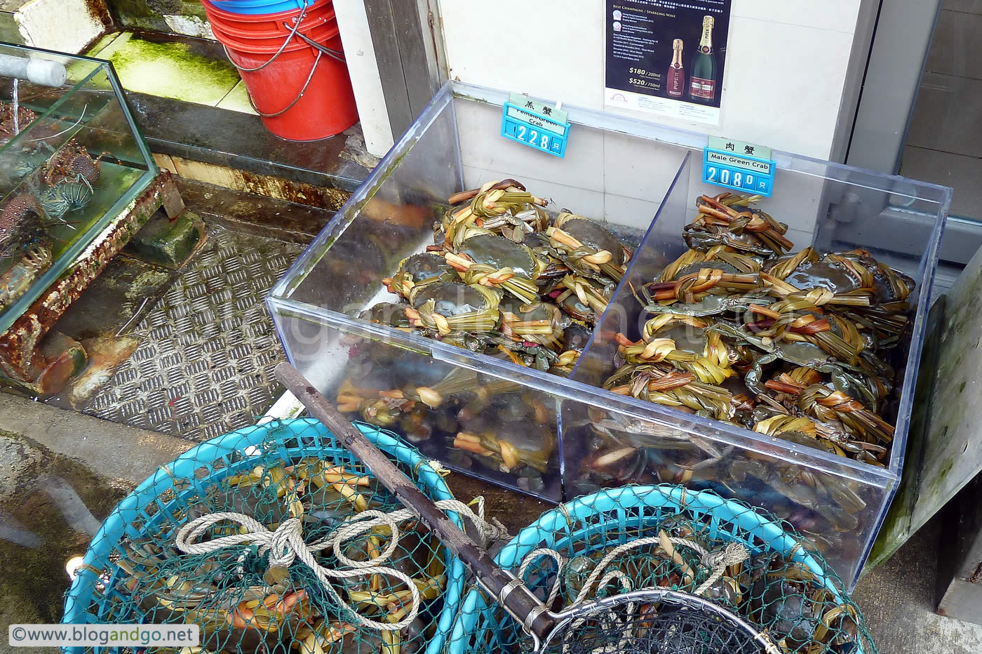 Green Crab